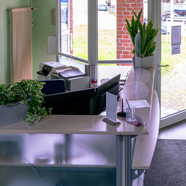 steuerberater magdeburg