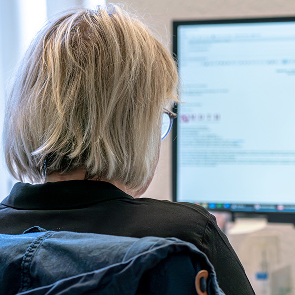 steuerberater magdeburg