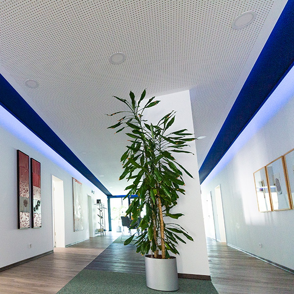 steuerberater magdeburg